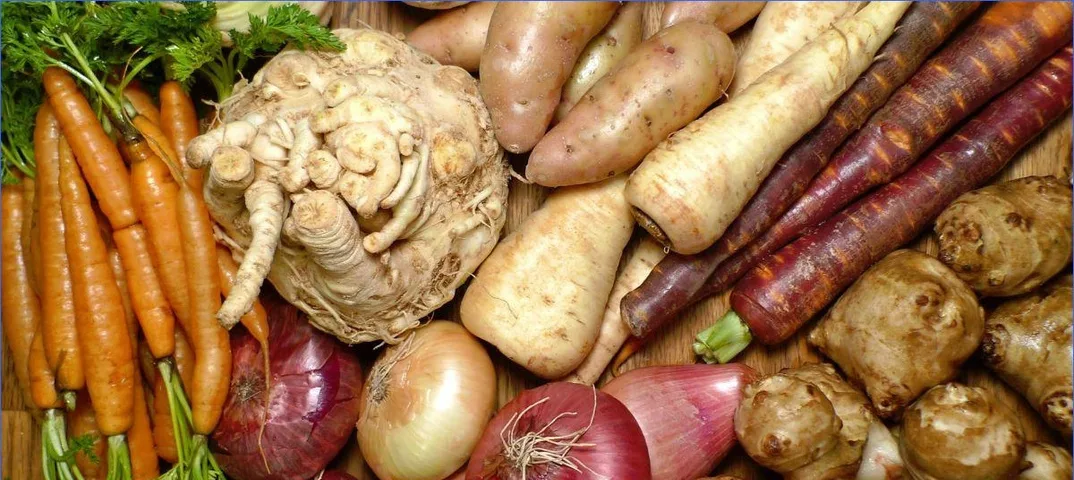 корнеплоды