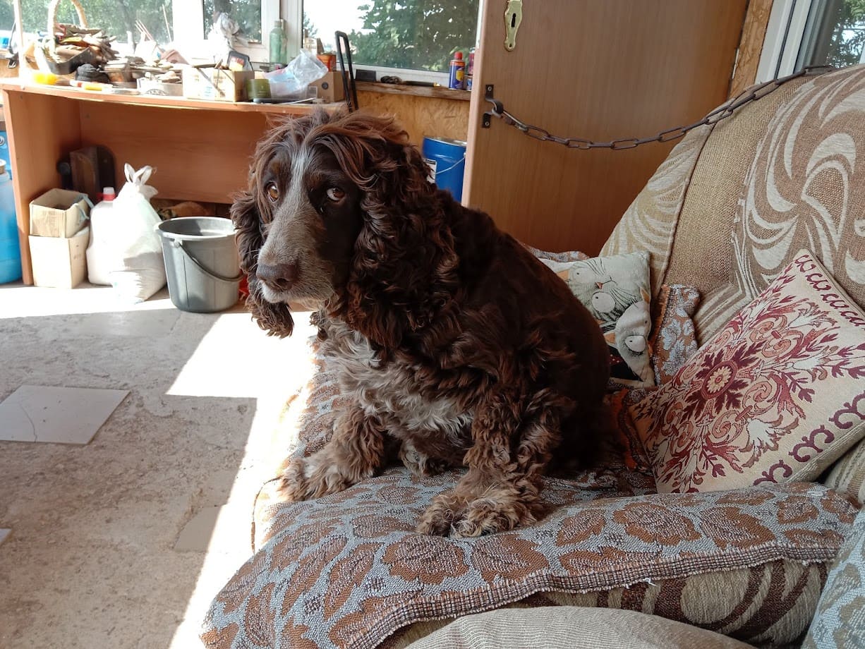 работы весной