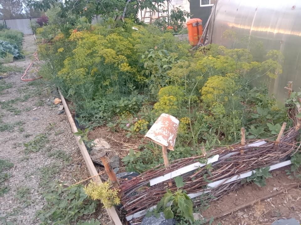 ограждение