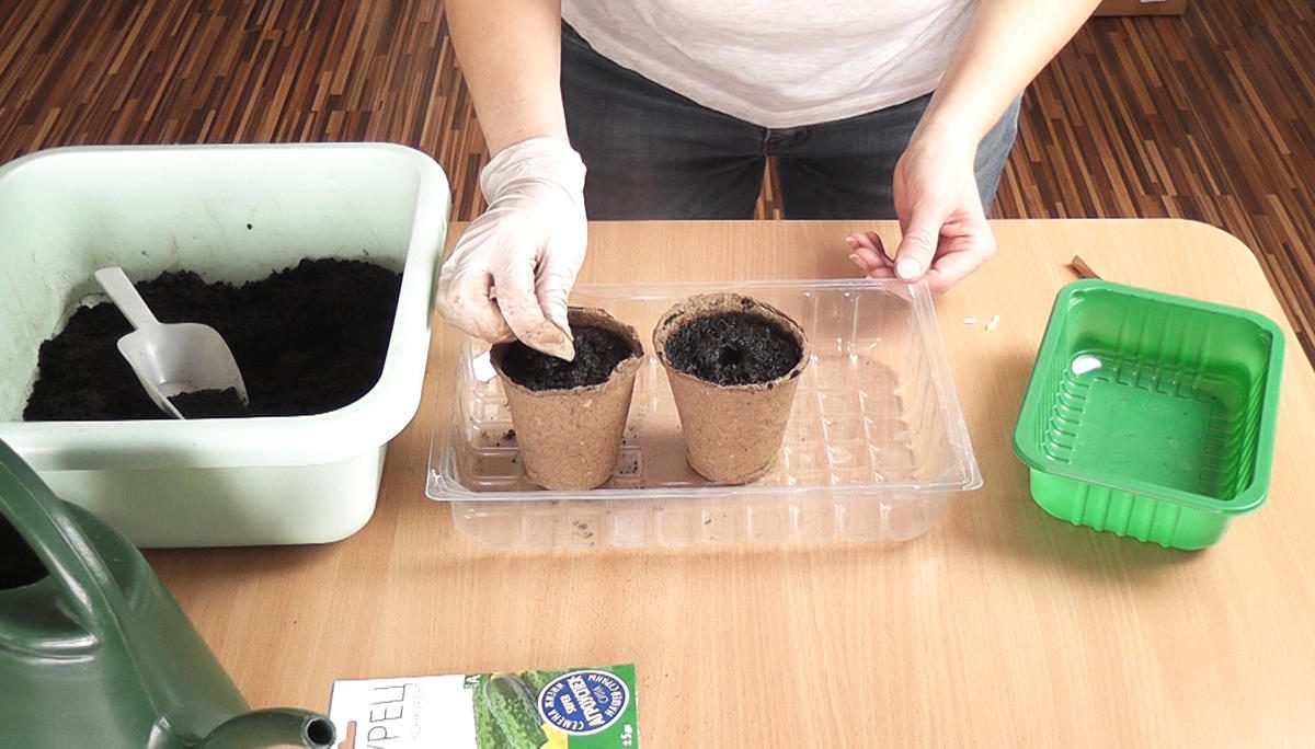 посев семян