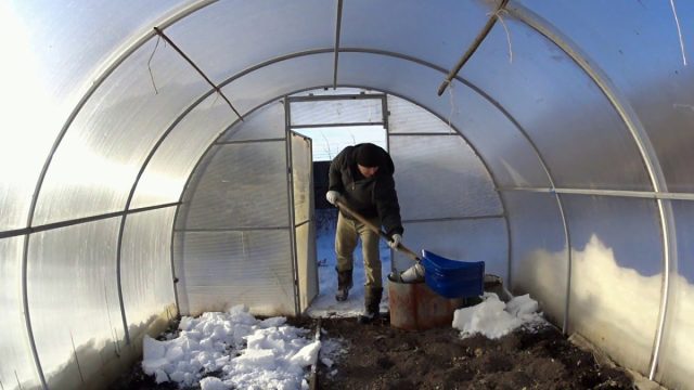 снег в теплице